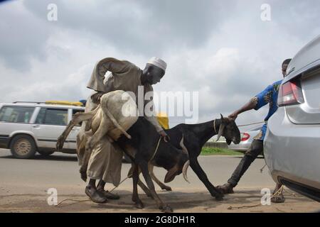 Ram vendors taking rams at the Kara Cattle Market, Isheri, in preparation for the celebration of Islamic Eid al-Adah. The Nigerian federal government Nigeria declared 20 and 21 July 2021, as public holidays. Ogun State, southwest Nigeria. Stock Photo