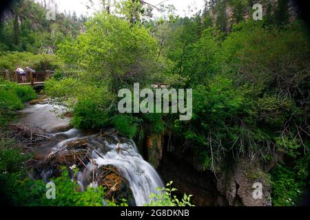 Roughlock Falls, Spearfish Canyon Scenic Byway, South Dakota Stock Photo