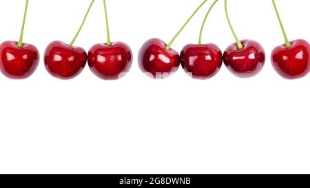 Ripe red sweet cherry isolated on white background. Macro photo close up. Long cherries Banner with copy space. Stock Photo