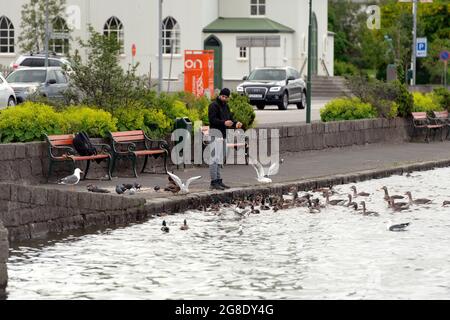 A tourist feeding birds by a lake in Reykjavik, Iceland. Stock Photo