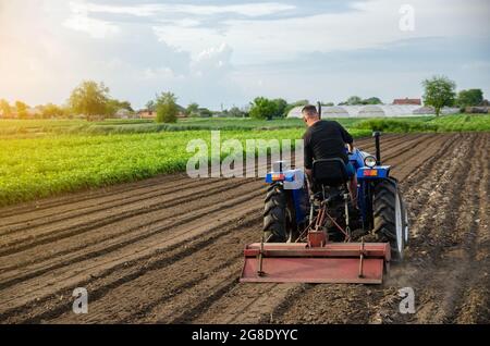 A farm tractor works the soil of an agricultural field. Milling soil, crushing and loosening ground before cutting rows. Working as a farmer. Farming. Stock Photo