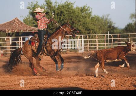 A rider or cowboy with his horse tries to make a lasso with a rope to a calf, heifer, during the rodeo circuit in the new arena El Shejon with the participation of the brands Corona Buckles, Sonora Saddlery and Cas Cov Rodeo on July 17, 2021 in Carbo, Mexico ..... (Photo: Luis Gutierrez / NortePhoto.com)   Un jinete o vaquero con su caballo intenta hacer un lazo con reata a un becerro, vaquilla, durante el circuito de rodeo en la nueva arena el Shejon con la participacion de la marcas Corona Buckles, Sonora Saddlery y Cas Cov Rodeo el 17 julio 2021 en Carbo, Mexico..... (Photo: Luis Gutierrez Stock Photo