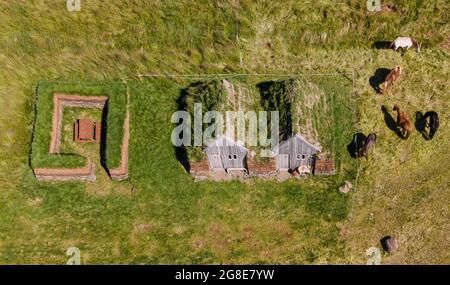 Icelandic horses grazing around horse stable and tool shed in original peat construction, Lytingsstaoir, North-Iceland, Iceland Stock Photo