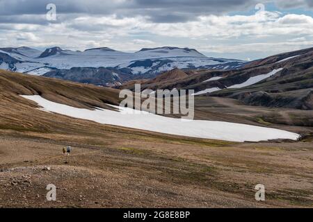 Iceland, Fjallabak, snowfield, old snow covered with volcanic ash in ...