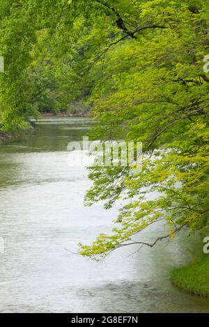 Middle Fork Vermilion Wild and Scenic River, Kickapoo State Park, Illinois Stock Photo