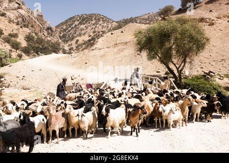 Shepherd at upper branch of Fahliyan valley, Zagros mountains, Gach Darvazeh, Fars Province, Iran, Persia, Western Asia, Asia Stock Photo