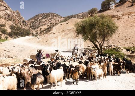 Shepherd at upper branch of Fahliyan valley, Zagros mountains, Gach Darvazeh, Fars Province, Iran, Persia, Western Asia, Asia Stock Photo