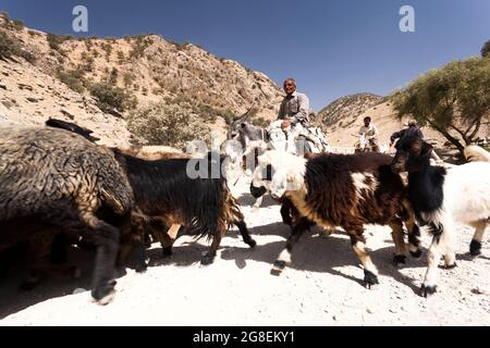 Shepherd at upper branch of Fahliyan valley, Zagros mountains, Gach Darvazeh, Fars Province, Iran, Persia, Western Asia, Asia Stock Photo