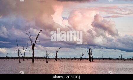 Storm clouds rolling over dead trees in Lake Mulwala Stock Photo