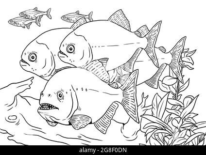 amazon river coloring page