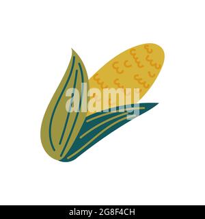 Corn. Colorful design element isolated on white. Stock Vector