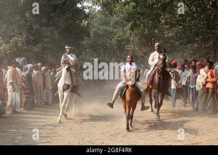 Horses are exhibited for sale at Sonpur fair, the largest animal selling fair in Asia. The fair is more than thousand years old. Stock Photo