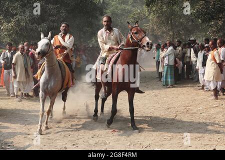 Horses are exhibited for sale at Sonpur fair, the largest animal selling fair in Asia. The fair is more than thousand years old. Stock Photo