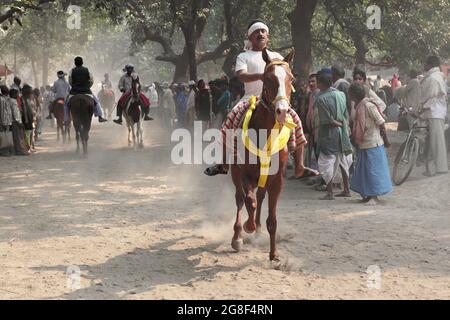 Horses are exhibited for sale at Sonpur fair, the largest animal selling fair in Asia. The fair is more than thousand years old. Stock Photo