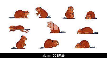 Beaver wild animal set vector illustration. Funny character in various poses cartoon design. Groundhog day concept. Isolated on white background Stock Vector
