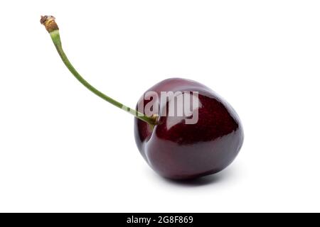 Single red ripe juicy cherry isolated on white background Stock Photo