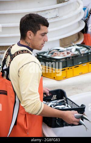 Tribunj, Croatia - July 4, 2021: Young fisherman sorting out the catch on a deck of a commercial fishing boat Stock Photo