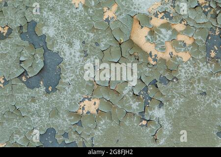 Concrete wall painted with gray-green paint, badly cracked old paint on metal. Stock Photo