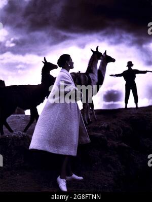 Toni Frissell - Fashion model with llamas, Cusco, Peru', fashion photography published in Harper's Bazaar, January 1952. Stock Photo