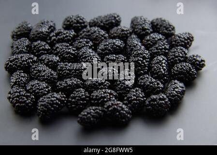 Fresh ripe mulberry on gray background, healthy food concept. Stock Photo