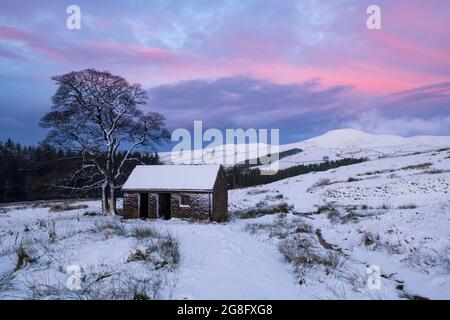Stone Barn and Footpath leading to the Peak of Shutlingsloe in winter, near Wildboarclough, Peak District National Park, Cheshire, England Stock Photo