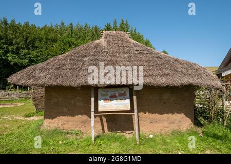 Neolithic, new stone age thatched house or building, reconstructed at Butser Ancient Farm open-air archeological museum in Hampshire, England, UK Stock Photo