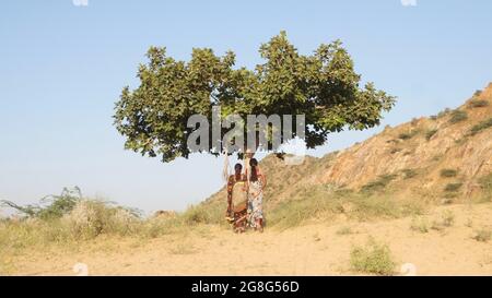 Warm sunny day with two Indian women standing in front of a tree with their backs toward the camera Stock Photo