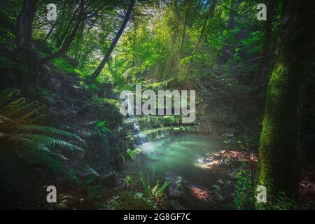 Stream waterfall inside a mediterranean forest and small pool. Chianni, Tuscany, Italy. Stock Photo