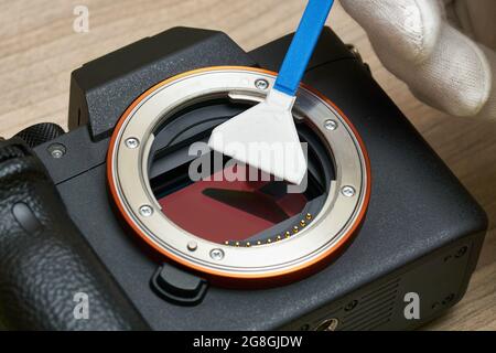 Cleaning a modern digital full-frame camera sensor using a sensor swab Stock Photo