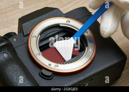 Cleaning a modern digital full-frame camera sensor using a sensor swab Stock Photo