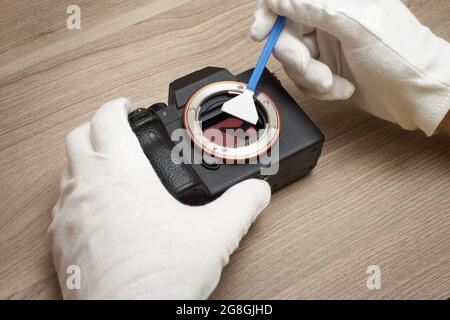Cleaning a modern digital full-frame camera sensor using a sensor swab Stock Photo