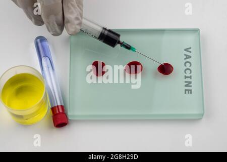 Hand in glove holding syringe blood sample needle vaccine research  test tube. Virus Corona Covid-19 pandemic Stock Photo