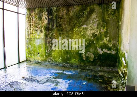 Mossy moldy wall blue tiled floor big windows Needs reconstruction Stock Photo