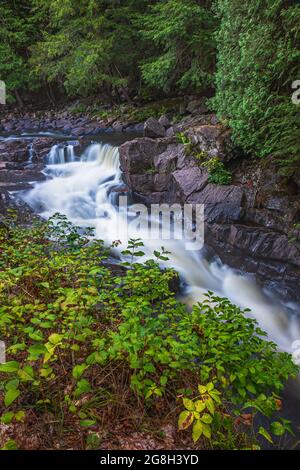 The Gut Conservation Area Apsley Ontario Canada Stock Photo