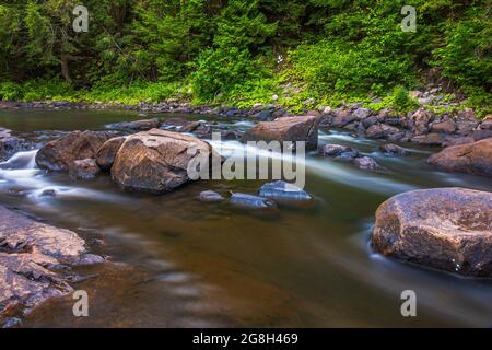 The Gut Conservation Area Apsley Ontario Canada Stock Photo