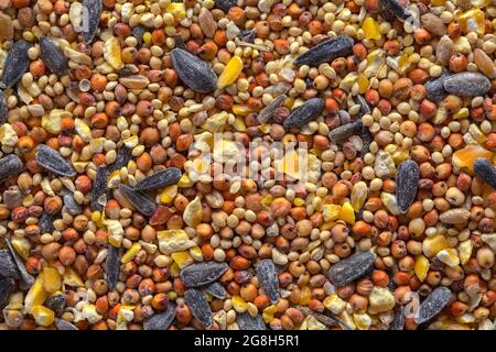 Pile of Brid Seed  Close Up Background Texture. Stock Photo