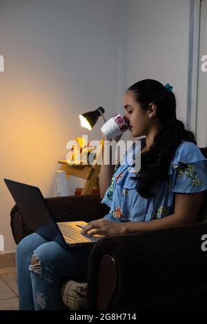 Young Hispanic female drinking coffee while working from home sitting on the armchair Stock Photo