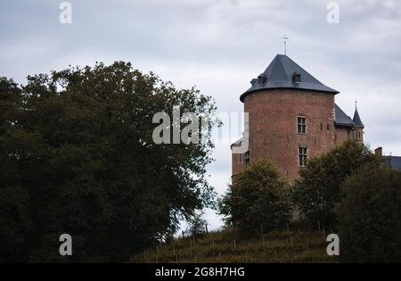 Gaasbeek Castle surrounded by greenery under a cloudy sky on a gloomy day in Lennik, Belgium Stock Photo