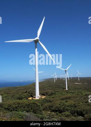 Vertical shot of Albany Wind Farm in  Australia in green trees field with blue sky Stock Photo