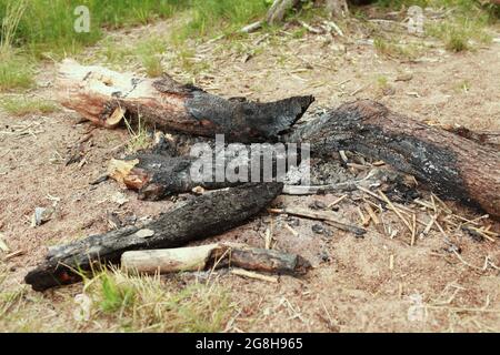 Abandoned extinguished bonfire in the forest black charred and burnt logs Stock Photo