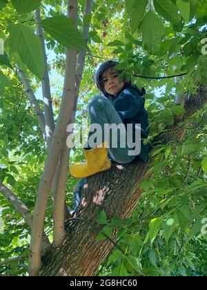 boy sitting on a tree Stock Photo