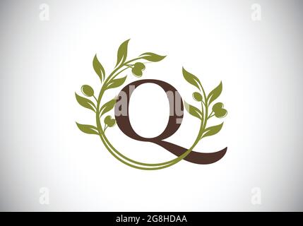 Initial letter Q sign symbol with olive branch wreath. Round floral frame made by the olive branch. Agriculture industry logo Stock Vector