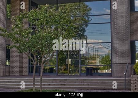 Modern brick walls and column gold trim doors with steps and entrance Stock Photo