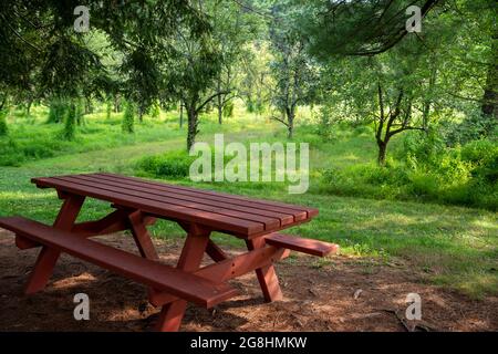 Red picnic table in idyllic summer orchard under shade tree Stock Photo