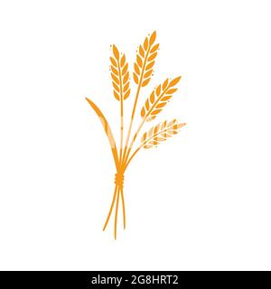 Wheat, barley, rice icon. Hand drawn sketch style oat with grain. Wheat isolated vector illustration. Golden color barley. Stock Vector