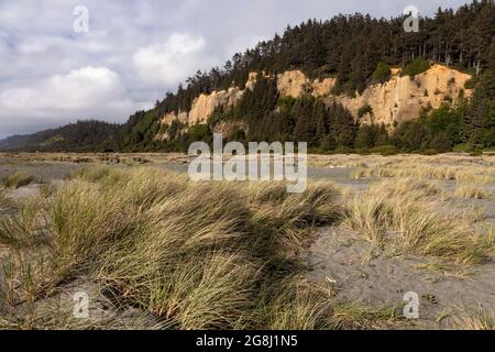 The bluffs rise above Gold Bluffs Beach in Prairie Creek State Redwoods State in Humboldt County, California. Stock Photo