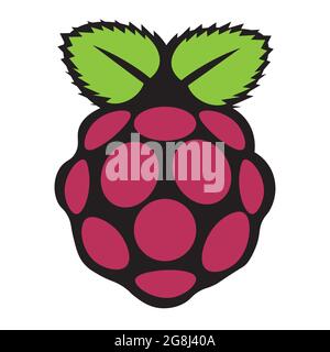 Raspberry Fruit seamless pattern Vector illustration on a white background Stock Vector