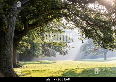 Northampton, UK. Weather, 21st July 202. Sunshine a light mist early morning in Abington Park, it’s going to be very humid after last nights thunder and rain. Credit: Keith J Smith./Alamy Live News Stock Photo