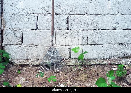 A rake on white garden wall background. Stock Photo