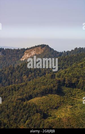 Green mountain forest landscape with alpine meadows in Bihor, Romania Stock Photo
